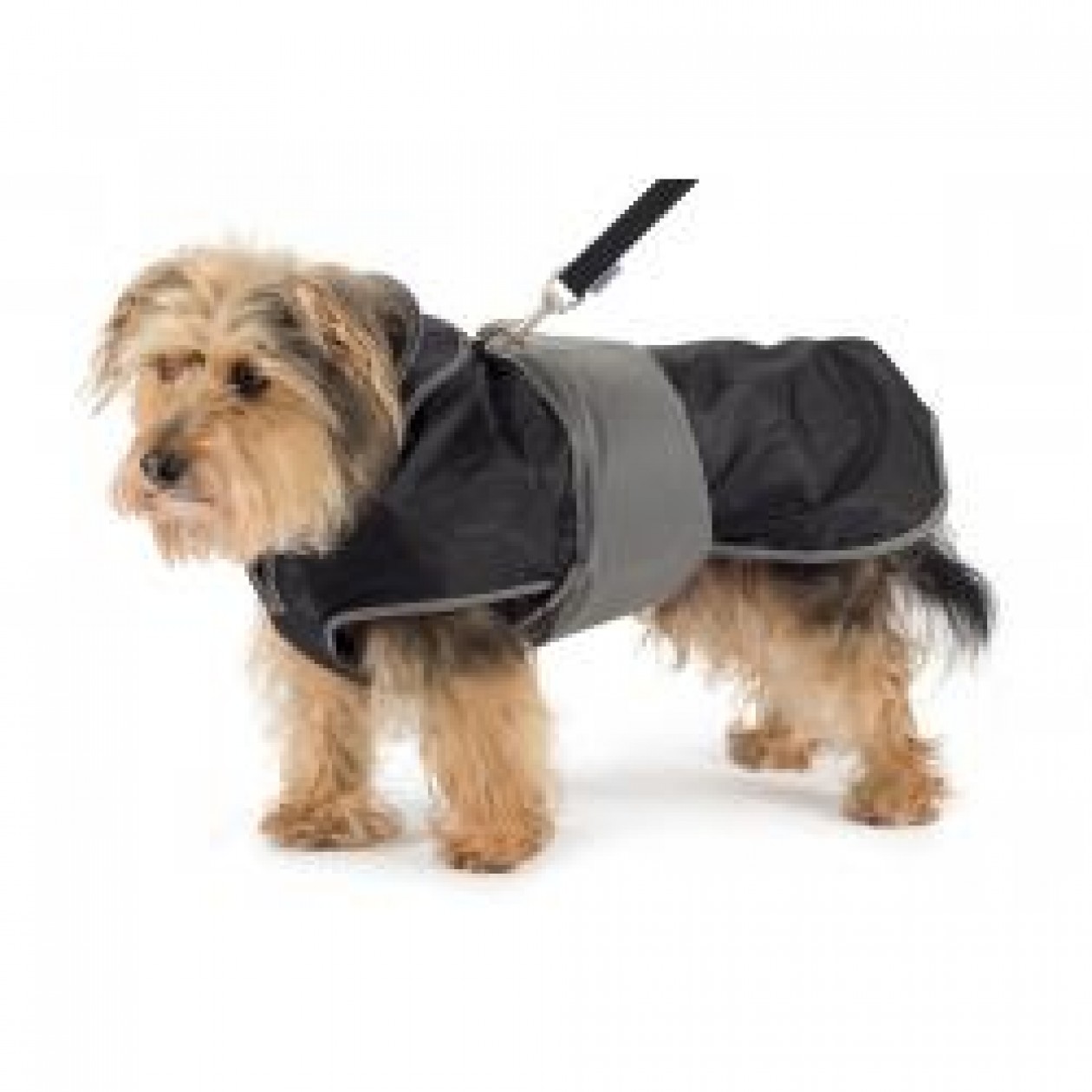 Ancol 2 in 1 Harness Dog Coat Medium, 40cm